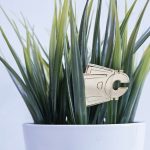 Kantor kryptowalut Cashify w Katowicach